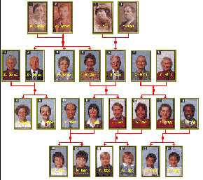 [FAMILY GRAPH SMALL]